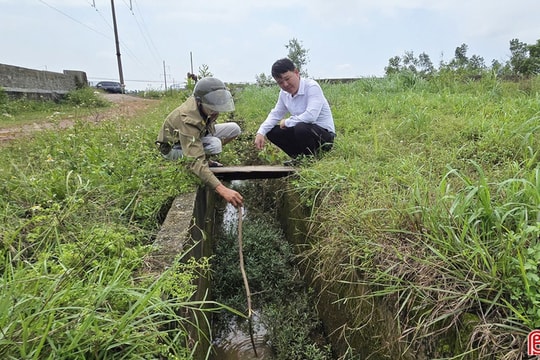 Hơn 100 ha đất trồng lúa vùng hạ du sông Rác… "khát" nước!