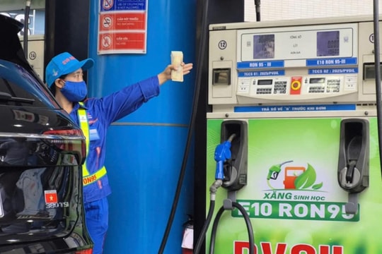Bảng giá xăng dầu hôm nay 14/5/2026 tại Petrolimex, PVOIL, Mipec, GIANGNAMPETROL