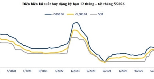 Sacombank tăng mạnh lãi suất huy động lên tới 8% mỗi năm từ ngày 13/05/2026