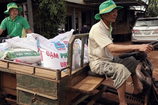 Giá phân bón hôm nay 13/5/2026: DAP Nga giá cao nhất
