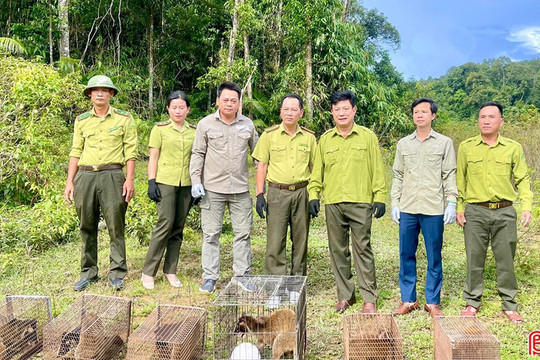 Vườn Quốc gia Vũ Quang tiếp nhận 57 cá thể động vật hoang dã