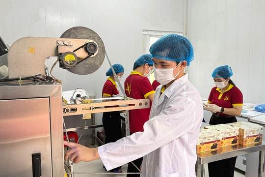 Nâng cao giá trị sản phẩm ocop bằng công nghệ chế biến sâu