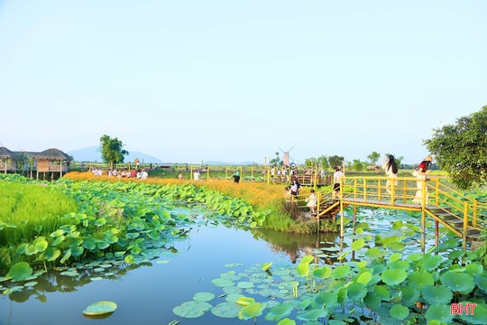 Bản tin du lịch: Khi hợp tác xã tham gia phát triển du lịch