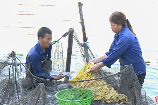 Nông dân Can Lộc làm giàu từ nuôi trồng thủy sản nước ngọt
