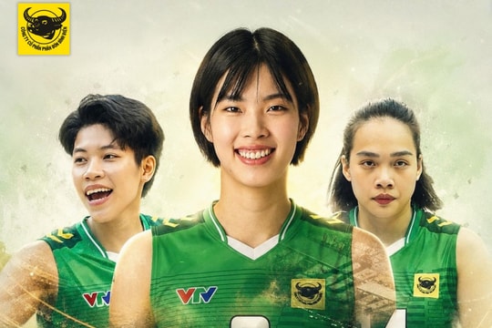 Cúp VTV9 - Bình Điền 2026: Lịch thi đấu và thể thức mới nhất