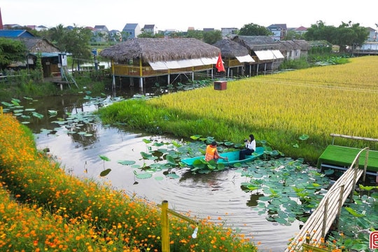 Khám phá “hồn quê” giữa lòng phố thị