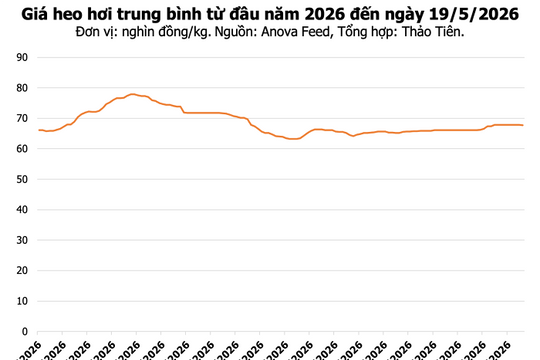 Giá heo hơi ngày 19/5: Thị trường miền Nam giảm nhẹ, mức cao nhất đạt 70.000 đồng/kg