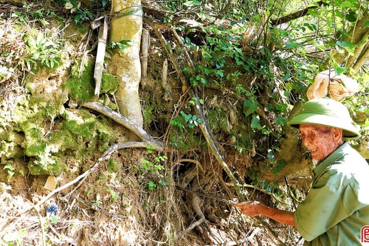 Sạt lở bờ sông đe dọa cuộc sống hàng trăm hộ dân
