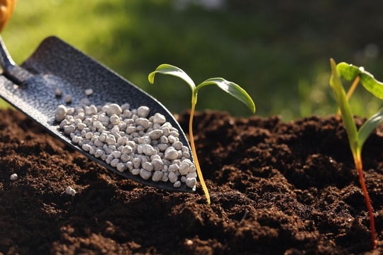 Giá phân bón hôm nay 20/5/2026: EU cân nhắc dự trữ phân bón do nitrogen tăng 70%