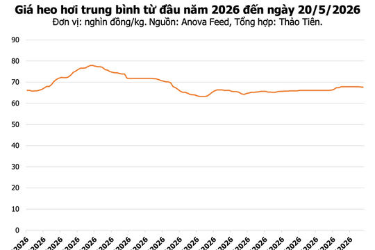 Giá heo hơi hôm nay 20/5: Đồng Nai đạt 70.000 đồng/kg, Hà Nội và TP.HCM cùng giảm