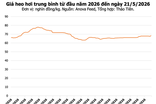 Giá heo hơi ngày 21/5: Hưng Yên và Đồng Nai chạm ngưỡng 70.000 đồng/kg