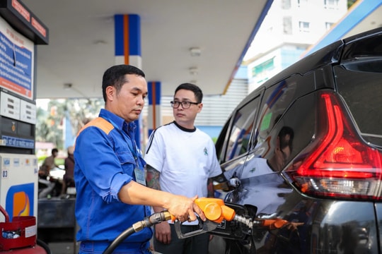 Bảng giá xăng dầu hôm nay 23/5/2026 tại Petrolimex, PVOIL, Mipec, GIANGNAMPETROL