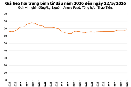 Giá heo hơi hôm nay 22/5: Duy trì mức 70.000 đồng/kg, Gia Lai xây trang trại 140 tỷ đồng