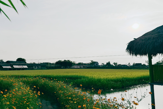Chuyển đổi xanh: Hướng đi tất yếu, mục tiêu vững bền