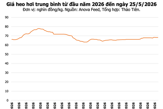 Giá heo hơi hôm nay 25/5: Thị trường ba miền đồng loạt đi ngang, cao nhất đạt 70.000 đồng/kg