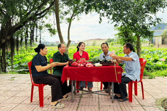 Mùa sen về thức dậy hương quê
