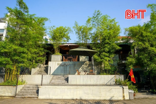 Tre xanh trong lòng đô thị