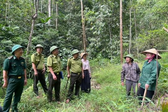 Giữ rừng, tạo sinh kế: Hướng đi bền vững cho bà con vùng biên