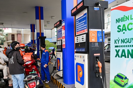 Bảng giá xăng dầu hôm nay 29/5/2026 tại Petrolimex, PVOIL, Mipec, GIANGNAMPETROL