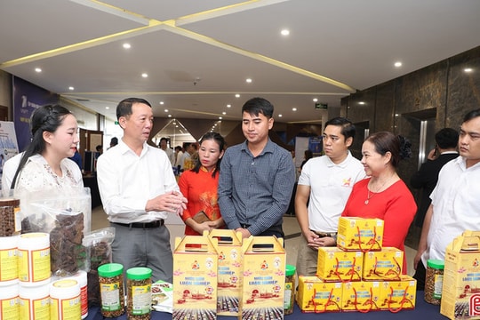 Hiến kế tháo điểm nghẽn, khơi thông động lực cho kinh tế tư nhân Hà Tĩnh