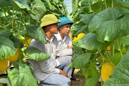 Xã Mai Hoa đổi mới sản xuất, nâng cao tiêu chí thu nhập