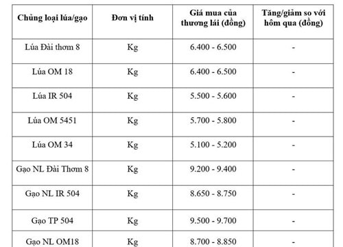 Giá lúa gạo ngày 3/6: Thị trường trong nước đi ngang, gạo xuất khẩu giảm 15 USD/tấn