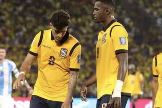 Ecuador tại World Cup 2026: Sức mạnh từ hàng thủ thép và Moises Caicedo