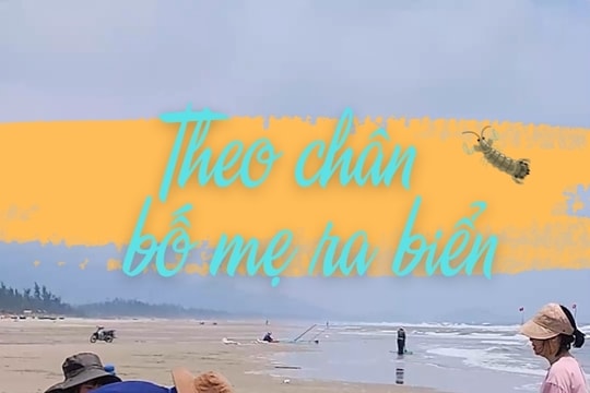 Theo chân bố mẹ ra biển bắt tôm tít