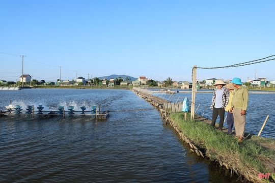 Giảm rủi ro sốc nhiệt, nâng cao hiệu quả nuôi tôm