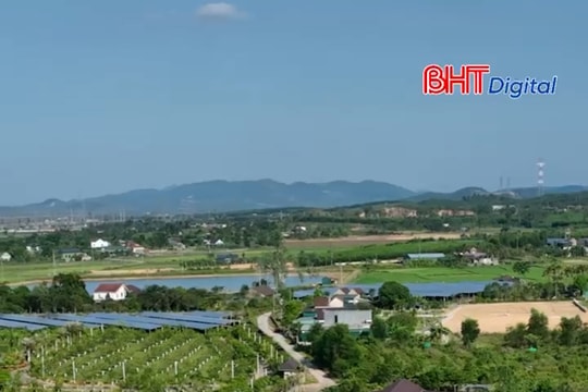 Mát xanh Thạch Xuân