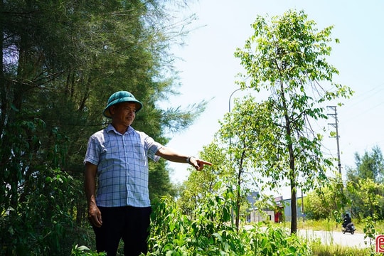 Nhếch nhác tuyến “cửa ngõ” phía đông phường Thành Sen