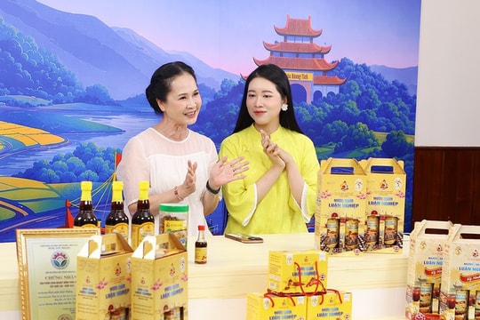 Hà Tĩnh triển khai đồng bộ các giải pháp xúc tiến thương mại