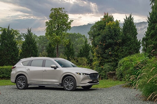 Mazda CX-8 2026: Chi tiết giá niêm yết và thông số kỹ thuật mới nhất tháng 6/2026
