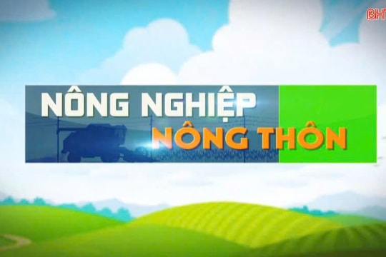 Chủ động bảo vệ đàn vật nuôi trong mùa hè