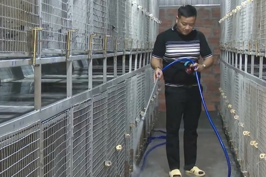 Chủ động bảo vệ đàn vật nuôi trong mùa hè