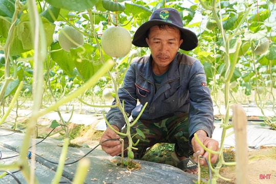 Ứng dụng KHCN: "Chìa khóa" tháo gỡ tiêu chí số 7 trong nông thôn mới
