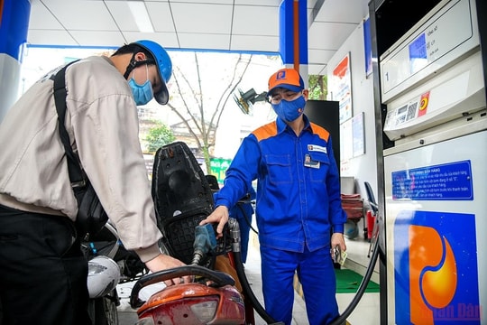 Bảng giá xăng dầu 13/6/2026 ở Petrolimex, PVOIL, Mipec, GIANGNAMPETROL
