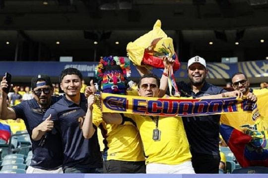 Bờ Biển Ngà chạm trán Ecuador tại World Cup 2026: Thử thách cho Những chú Voi