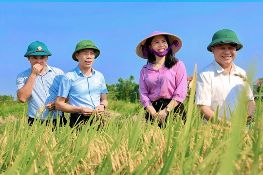Đông Kinh nâng chất miền quê mới.