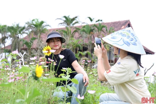 Chuyện những đại sứ du lịch không chuyên