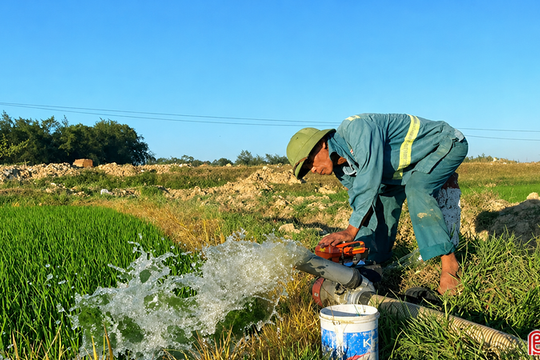 Tăng cường điều tiết nước, đảm bảo lúa hè thu sinh trưởng ổn định