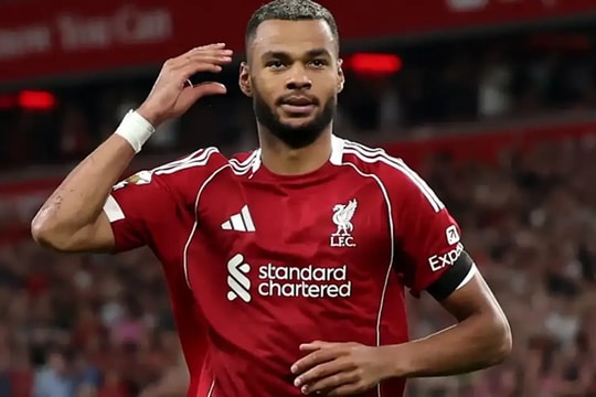 Liverpool từ chối Tottenham, khẳng định Cody Gakpo là nhân tố 'không thể chạm tới'
