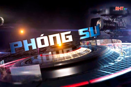 Giấc mơ nơi đất khách và nỗi trăn trở ở quê nhà