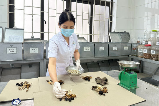 Vì sao thuốc y học cổ truyền "lép vế" trong quỹ chi BHYT?