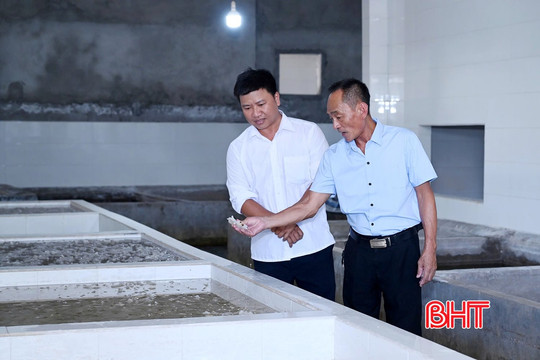 Đảng viên đi đầu, nông thôn đổi mới