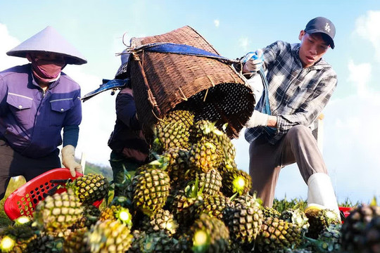 Ngành nông nghiệp và môi trường phấn đấu đạt mức tăng trưởng 4% năm 2026