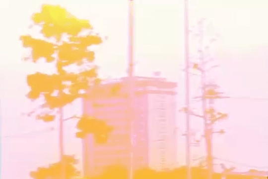 Bình minh Thành Sen