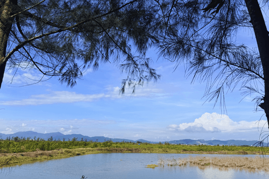 Một ngày sống chậm giữa rừng đước Thiên Cầm