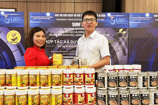Hà Tĩnh phấn đấu đến 2030, chỉ số đổi mới sáng tạo cấp địa phương nằm trong nhóm khá cả nước