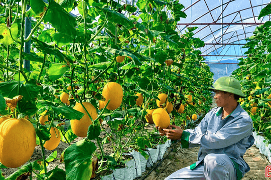Ứng dụng khoa học - công nghệ tạo đột phá trong xây dựng nông thôn mới